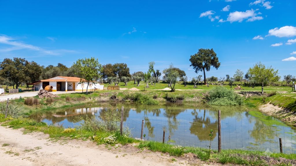 Kochab Alentejo