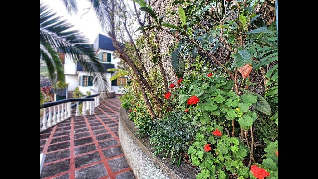 Casa Bergmann by LovelyStay