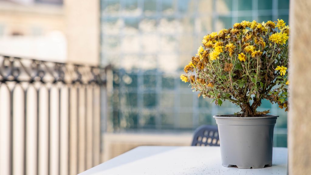 João IV Jewel Retreat by LovelyStay
