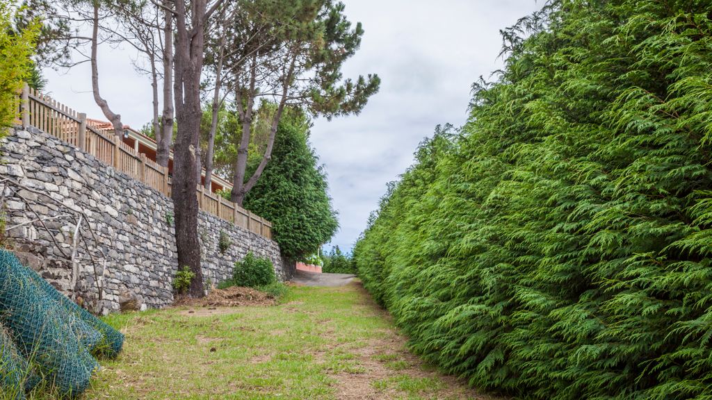 Quinta do Santo by LovelyStay