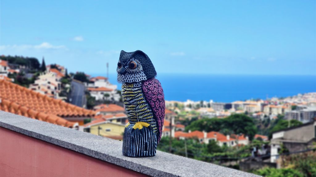 Mon Rêve Portugais by LovelyStay