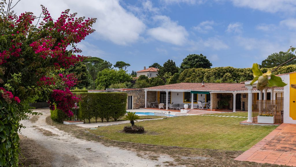 Vinha da Quinta - Quarto Alentejano