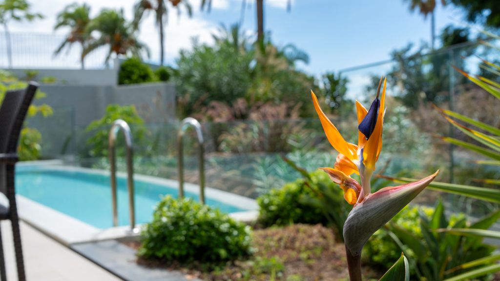 Acqua Sensation Suite by LovelyStay