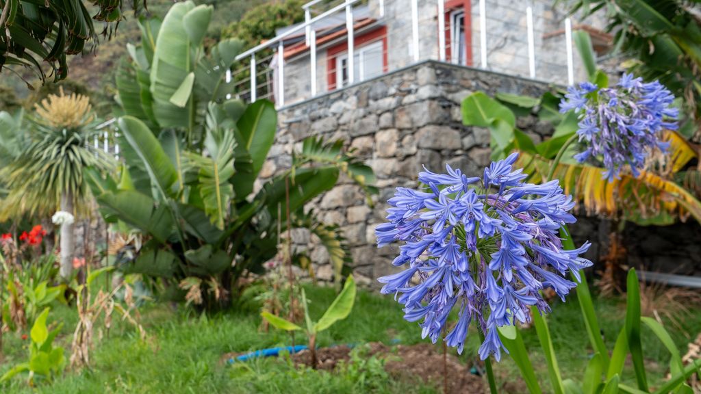 Fajã Stone House by LovelyStay