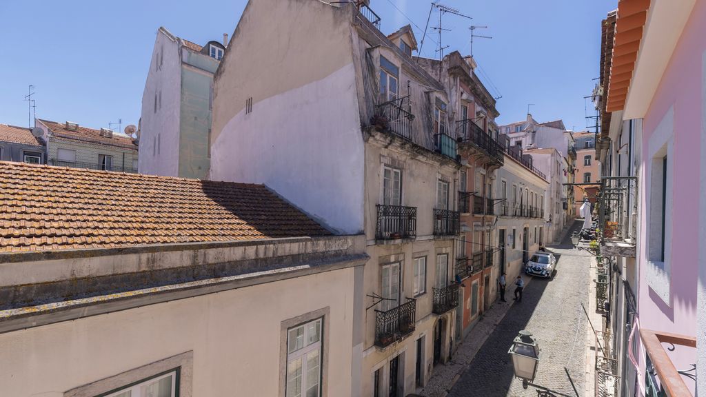 Flor do Bairro III by LovelyStay