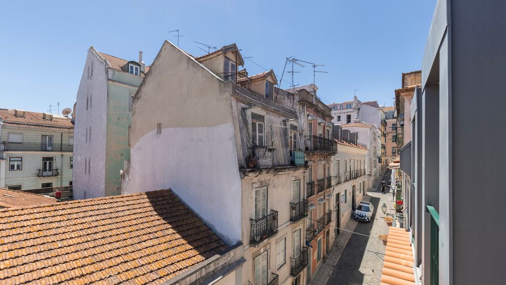 Flor do Bairro IV by LovelyStay