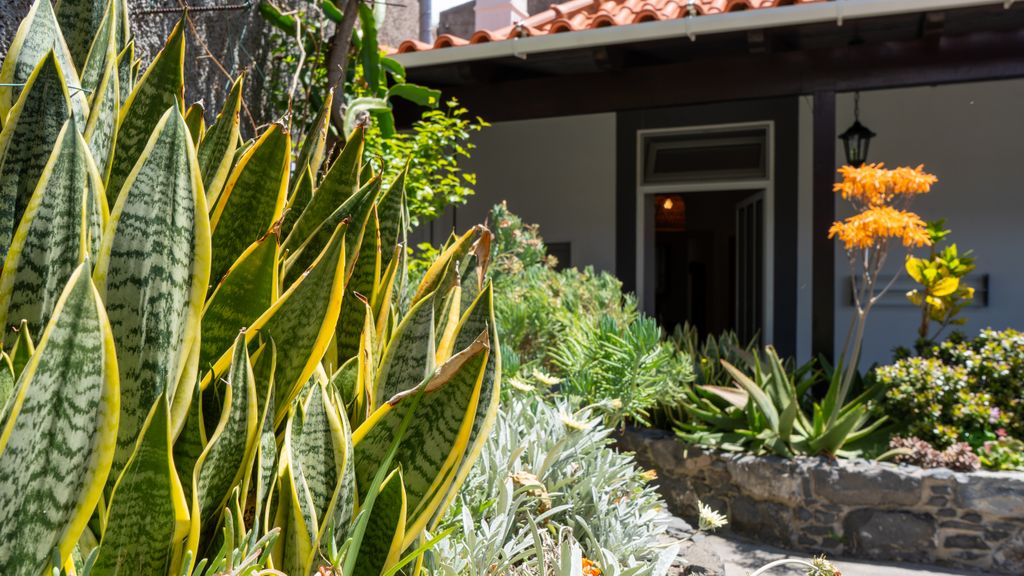 Charming Garden Oasis by LovelyStay