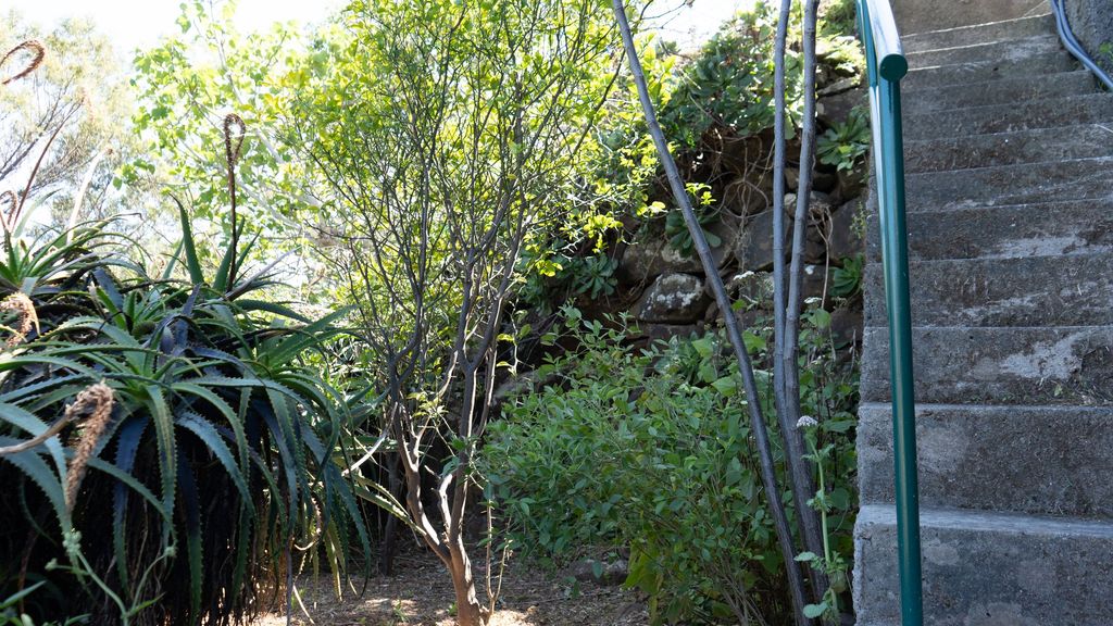 Desertas Vista Casa by LovelyStay