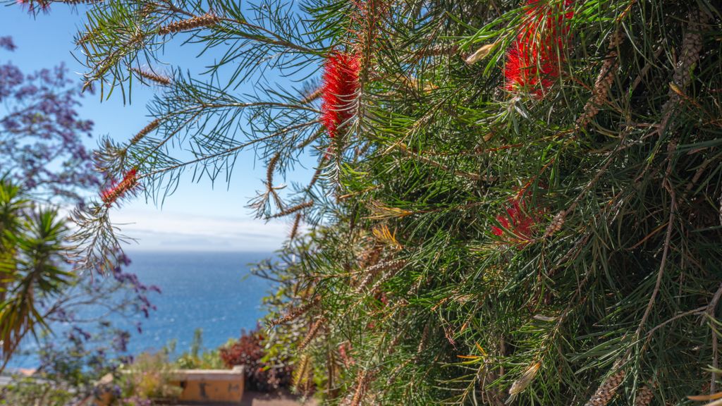 Jezebel's View by LovelyStay