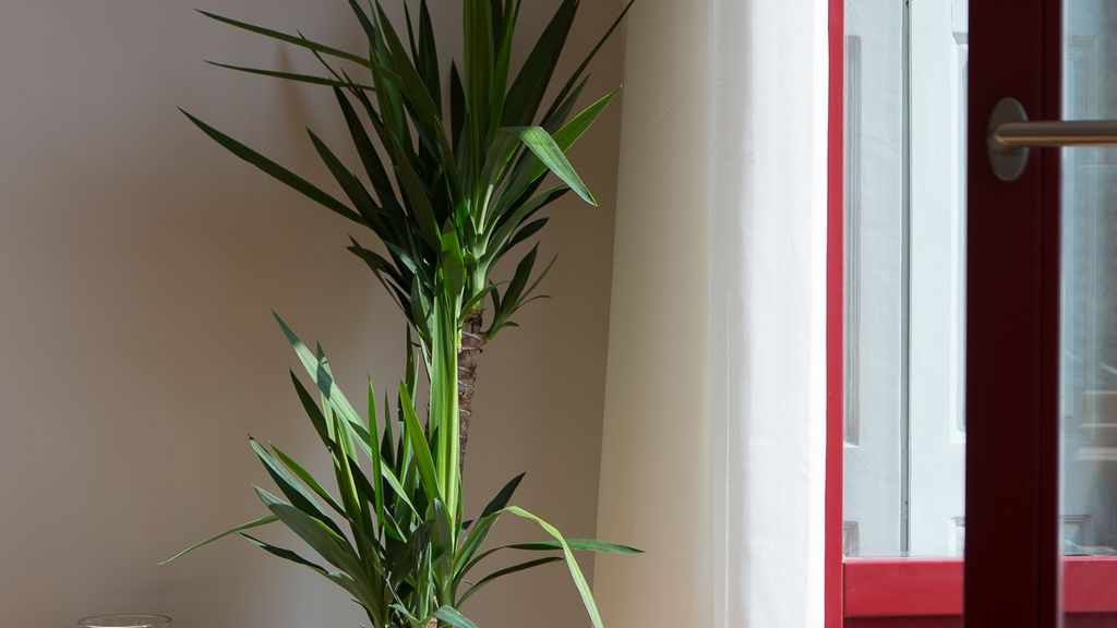 Mártires Boutique Flat by LovelyStay